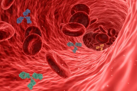 virus, pathogen, antibody