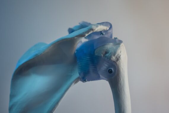 blue and white bird figurine